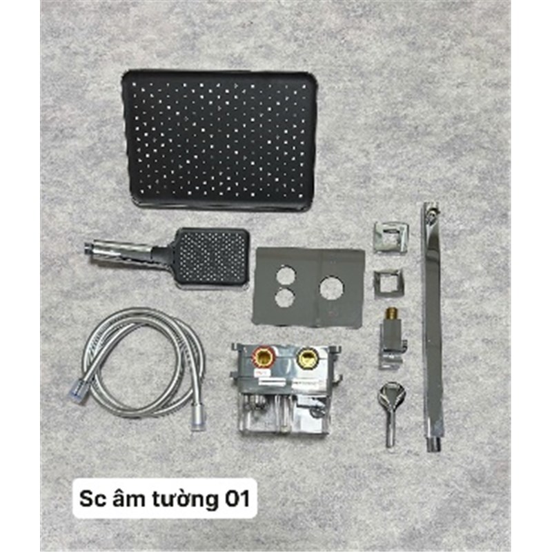 Lắp đặt bồn cầu đúng kỹ thuật: khoảng cách, chống rò rỉ và kiểm tra xả 1 TBVS XM 054 SEN CAY AM TUONG 01
